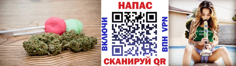 Купить где  Мензелинск  Cannafood конопля 