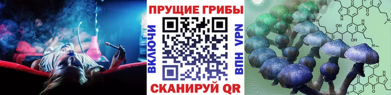 Псилоцибиновые грибы MAGIC MUSHROOMS  Купить где  Мензелинск 